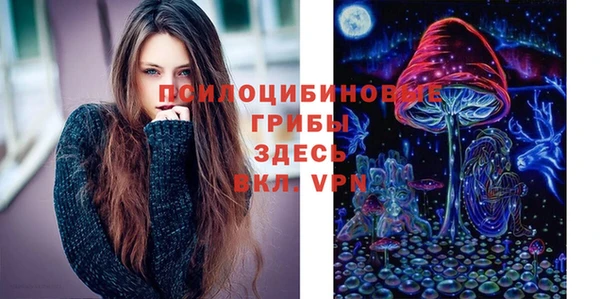 шишки Домодедово