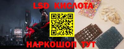 прущие грибы Бийск