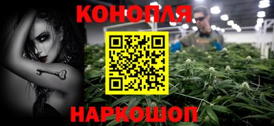 шишки Балашиха