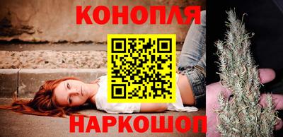 шишки Балашиха