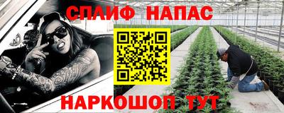 прущие грибы Бийск