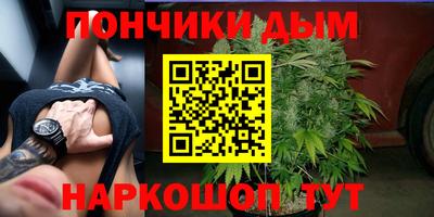 шишки Балашиха