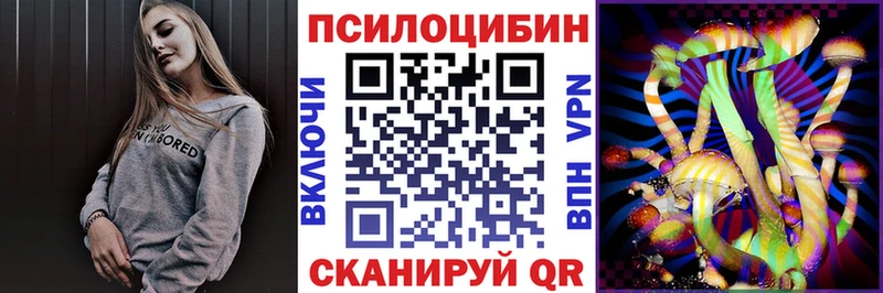 дарнет шоп  Белебей  Псилоцибиновые грибы Cubensis 