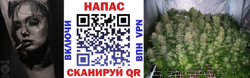Бошки Шишки MAZAR  Белебей 